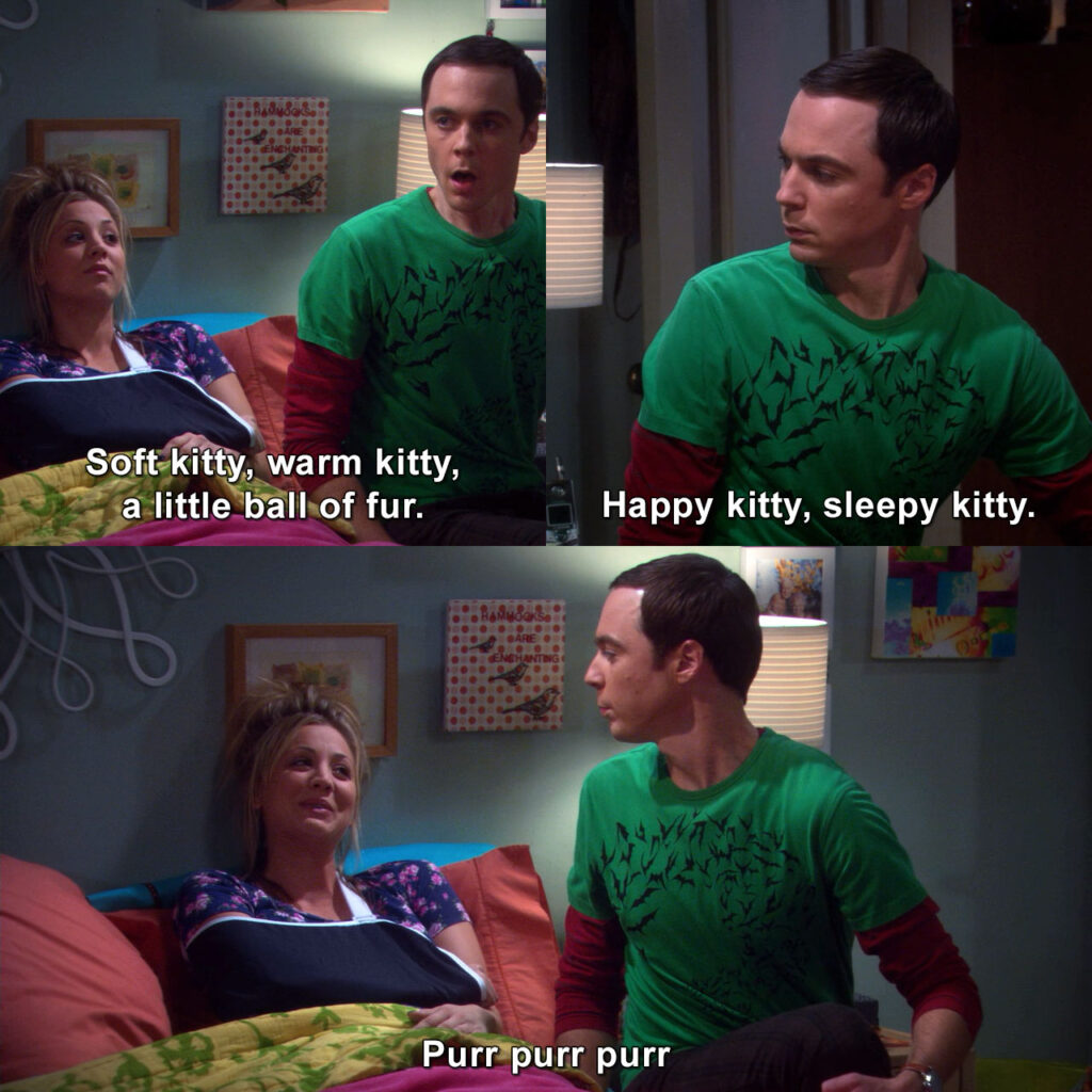 the big bang theory sheldon ve penny soft kitty ninni söyleme sahnesi